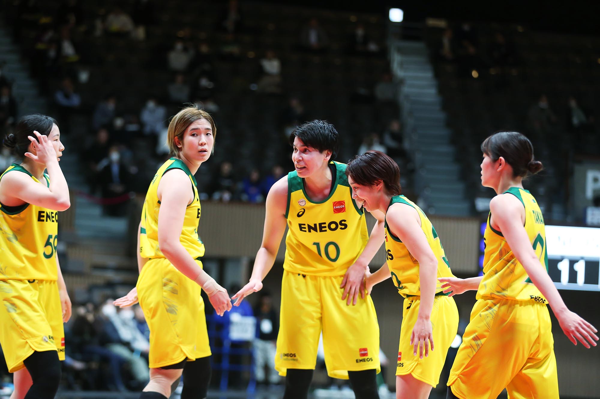 白鴎大学男子バスケットボール 強さの証明 【公式通販】