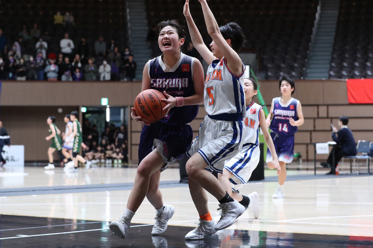 写真／山岡邦彦(月刊バスケットボール)
