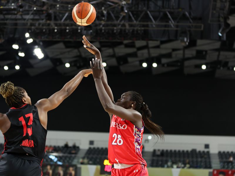 シラ ソハナ ファトー ジャ(デンソー)