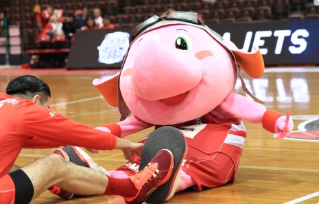 バスケットボール　マスコット　20個 Bリーグ マスコット・オブ・ジ・イヤー2019-20”を開催！ 千葉ジェッツ